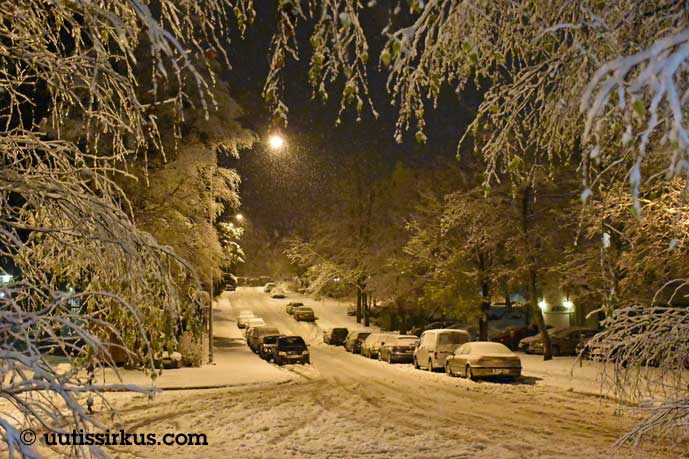 lunta sataa hiljalleen, muutama auto kadun varressa
