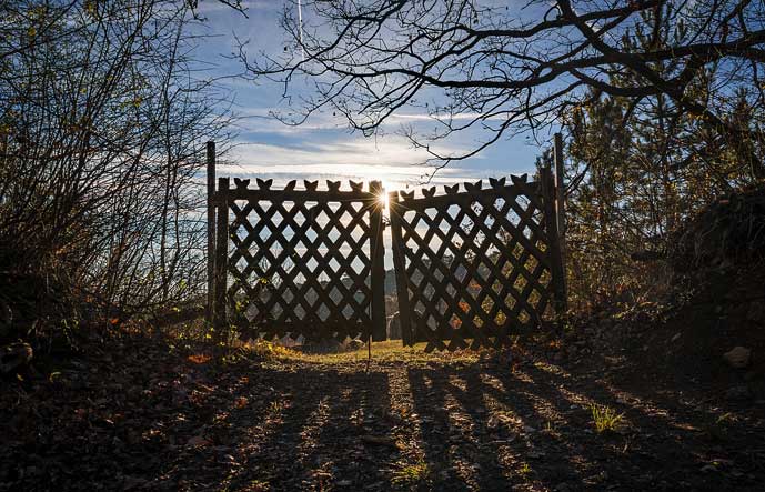 puinen ristikkoportti pienesti raollaan kahden lehdettömän puun välissä, aurinko paistaa matalalta portin juuri ja juuri portin takaa