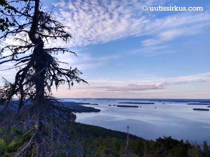 Maisema Klolin huipulta: järvi ja metsää silmänkantamattomiin heinäkuun lopun iltavalossa