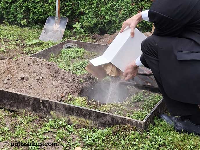 pahviuurnasta kaadetaan tuhkaa nurmeen tehtyyn kuoppaan, taustalla näkyy lapio